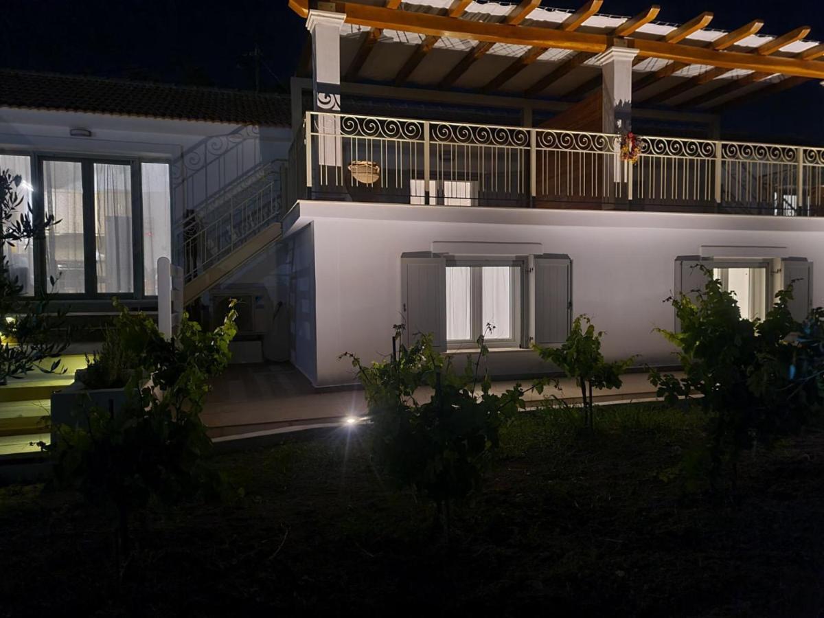 Apollonides Seafront Villa 2 Melete 里科索翁 外观 照片